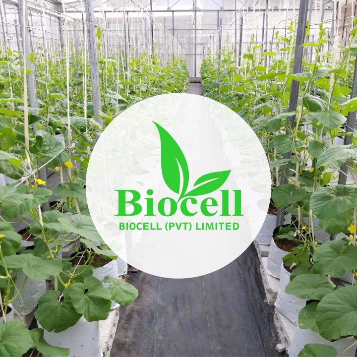 Biocell PVT LTD 2-min