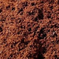 Coco Peat Raw Material